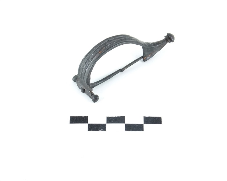 Aucissafibel.